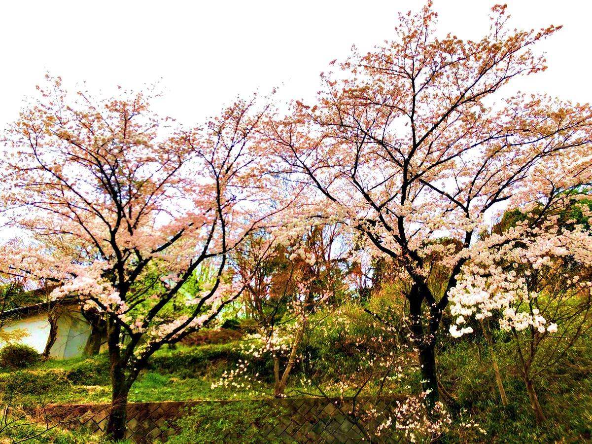 Takasaki Kannonyama Onsen Kinzanso Ξενοδοχείο Εξωτερικό φωτογραφία